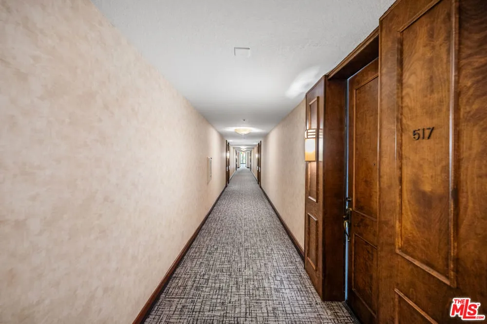 121 S Hope Street #517 Los Angeles, CA 90012