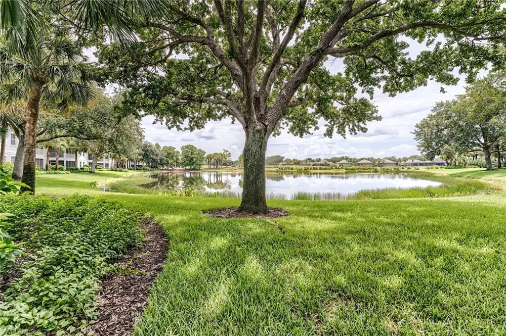 9151 Palmetto Ridge Drive #102 Estero, FL 34135