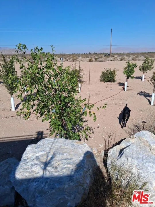 9025 Camp Rock Road Lucerne Valley, CA 92356