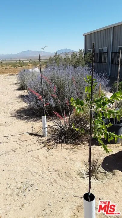 9025 Camp Rock Road Lucerne Valley, CA 92356