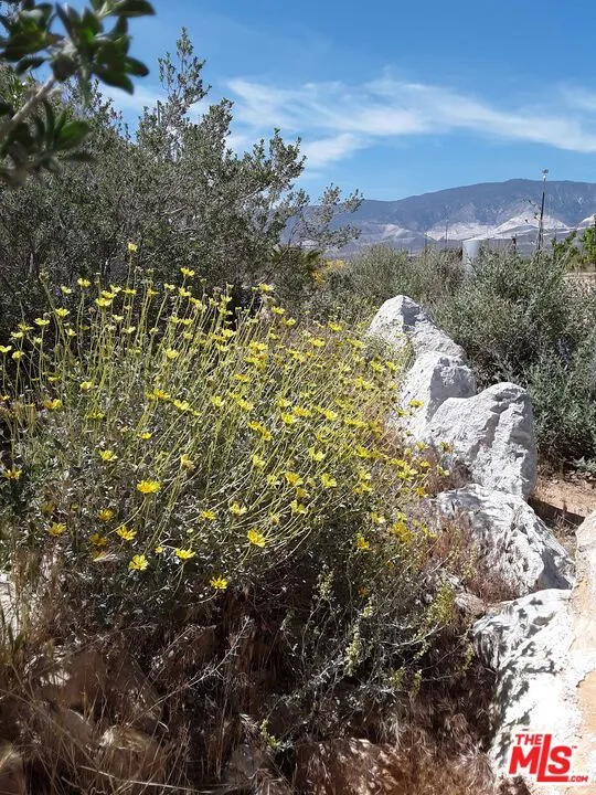 9025 Camp Rock Road Lucerne Valley, CA 92356