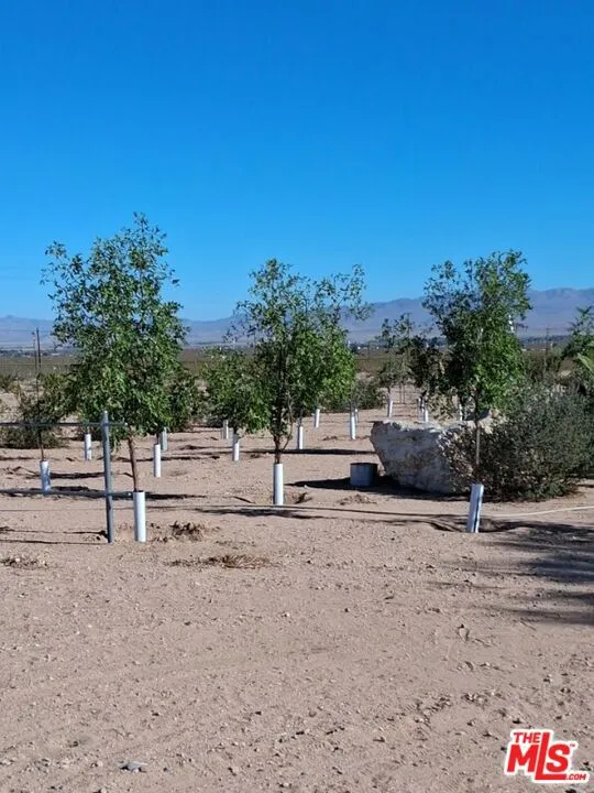 9025 Camp Rock Road Lucerne Valley, CA 92356
