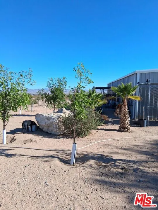 9025 Camp Rock Road Lucerne Valley, CA 92356