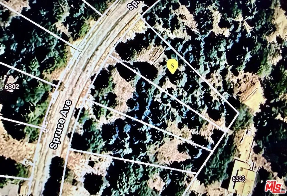 6287 Spruce Avenue Angelus Oaks, CA 92305