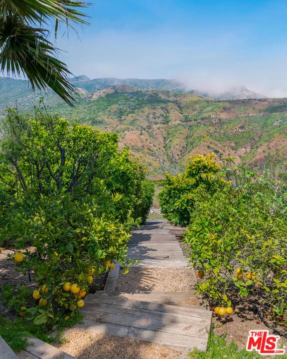 2900 Corral Canyon Road Malibu, CA 90265