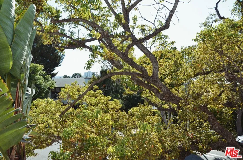 1328 Havenhurst Drive #202 West Hollywood, CA 90046