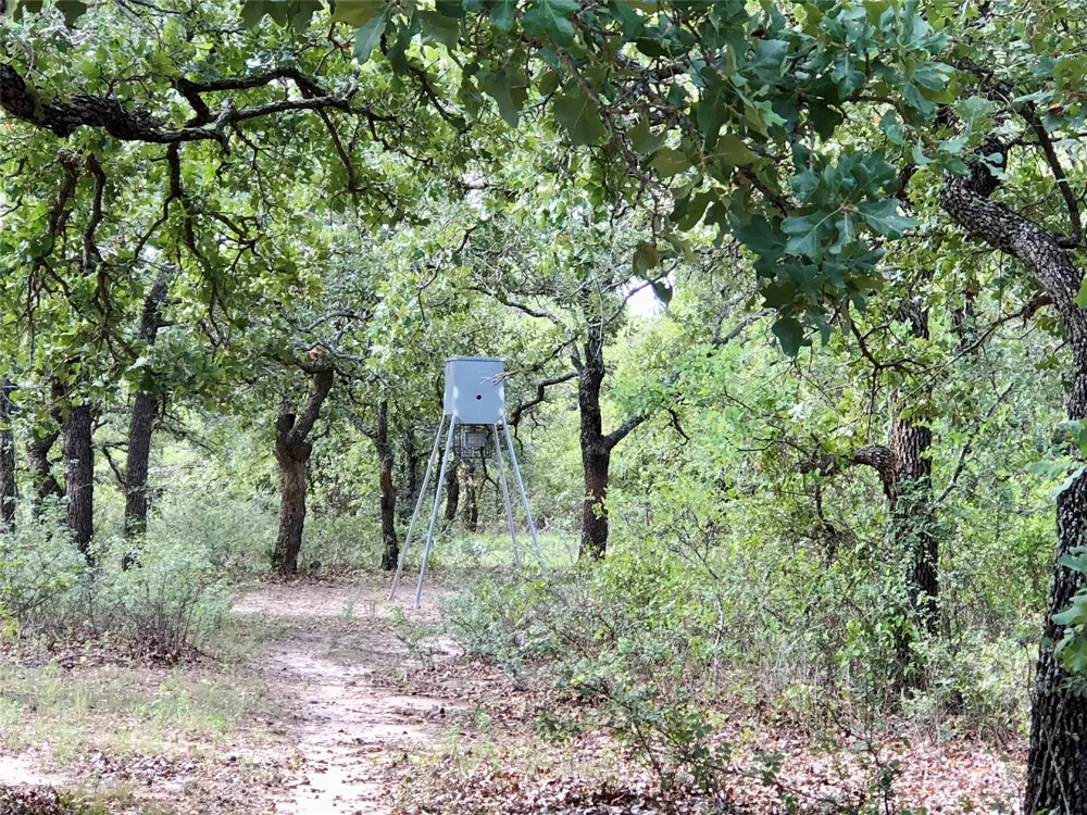 5851 Highway 569 Cisco, TX 76437