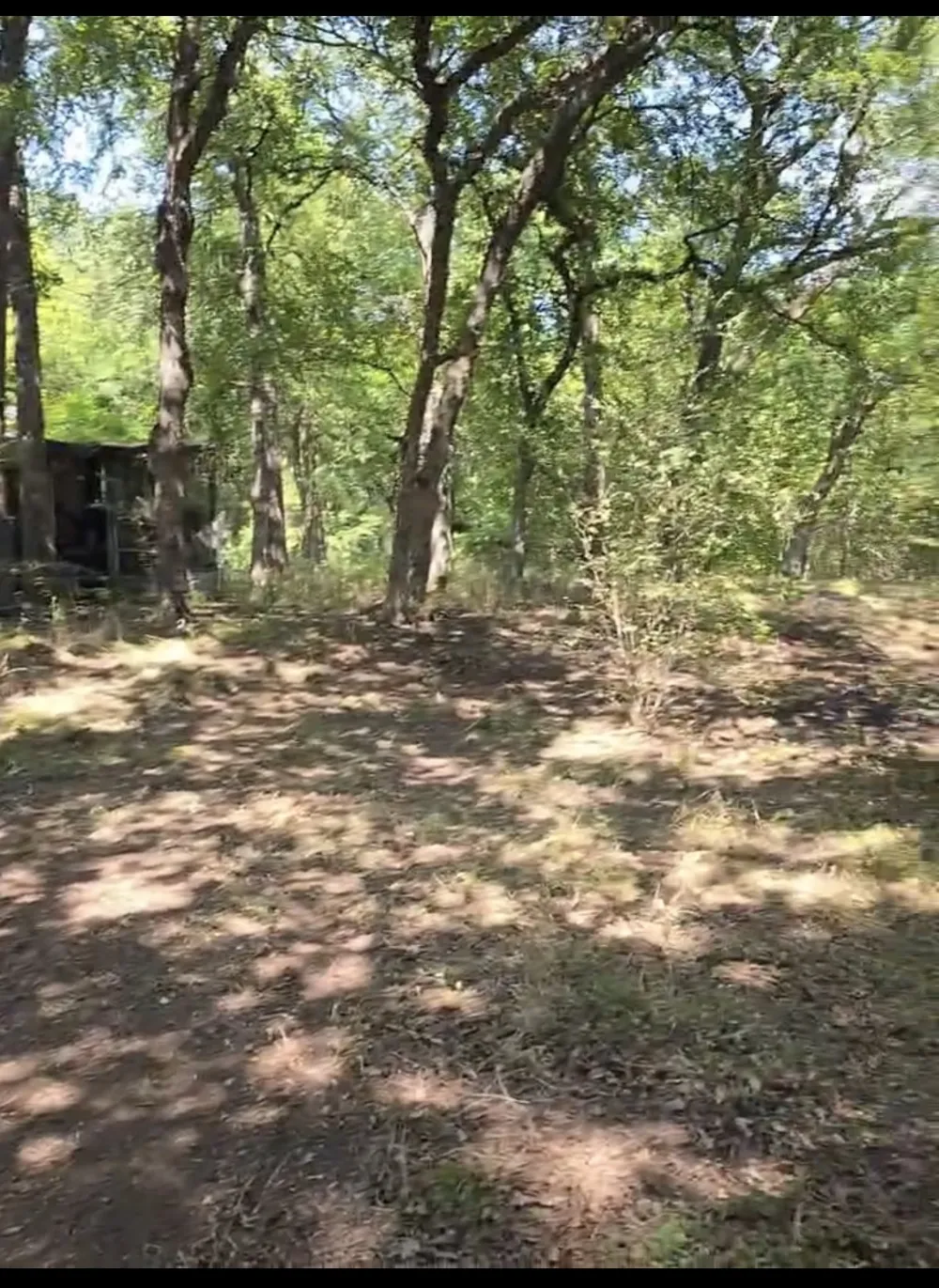 6316 Angel Drive Burleson, TX 76028