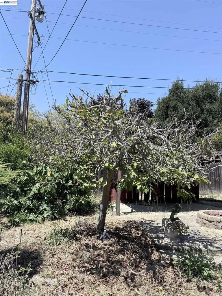 137 Viewmont Avenue Vallejo, CA 94590