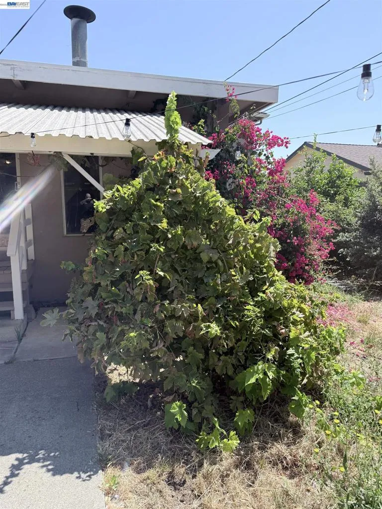 137 Viewmont Avenue Vallejo, CA 94590