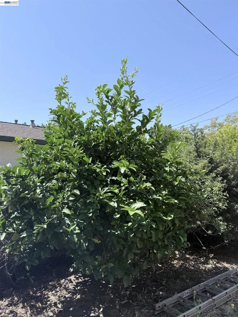 137 Viewmont Avenue Vallejo, CA 94590