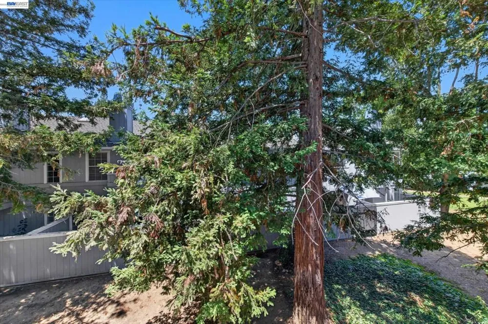 4125 Amberwood Cir Pleasanton, CA 94588