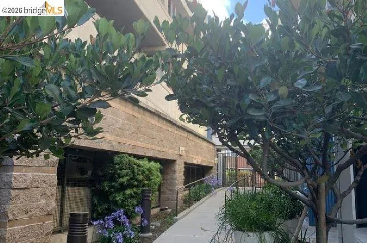 1121 40th ST #5102 Emeryville, CA 94608