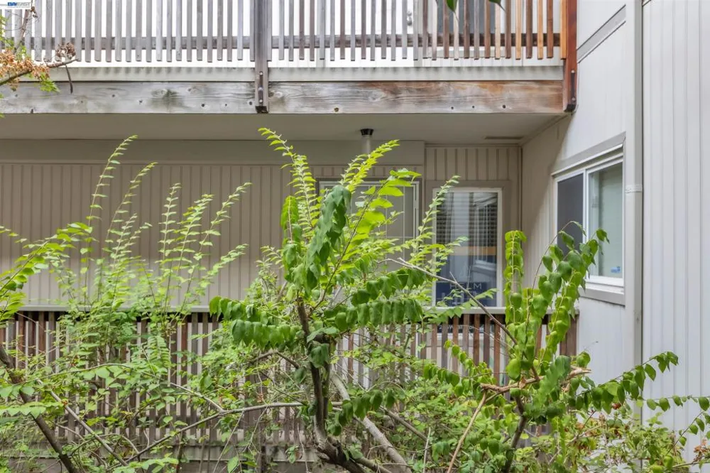 215 Whale Bone Ct Vallejo, CA 94591