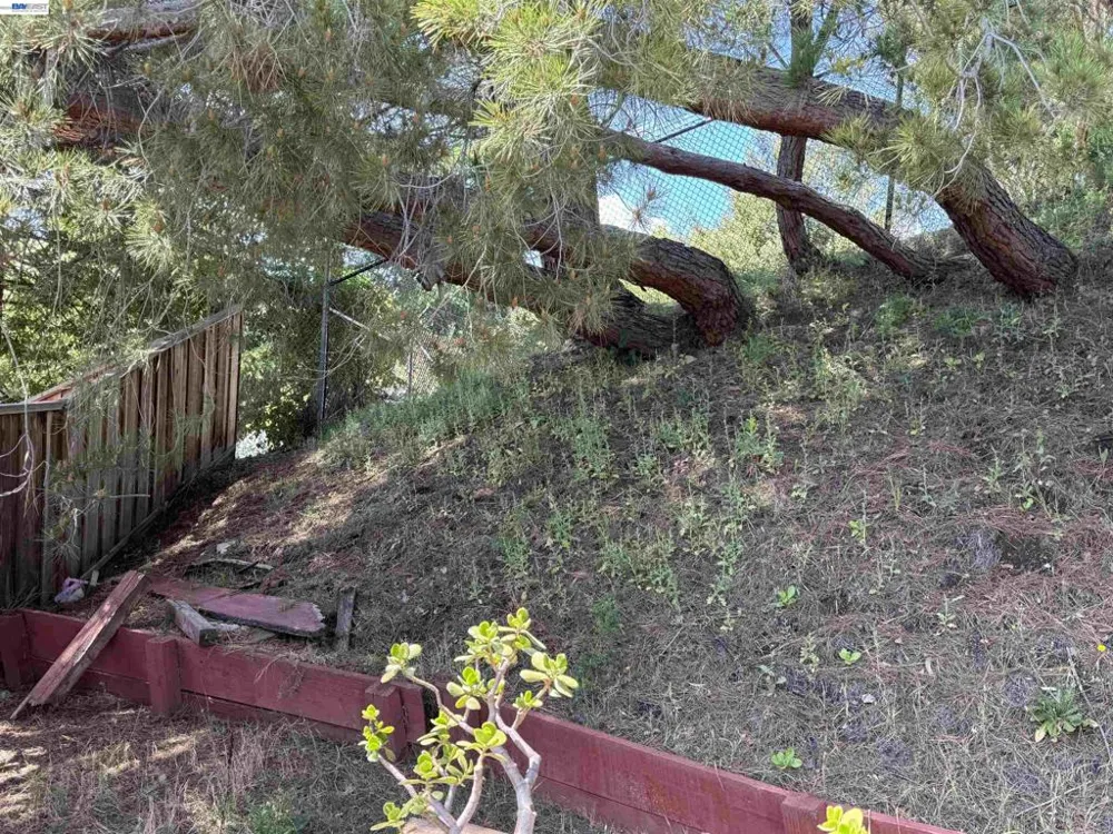 8206 Rhoda Ave Dublin, CA 94568