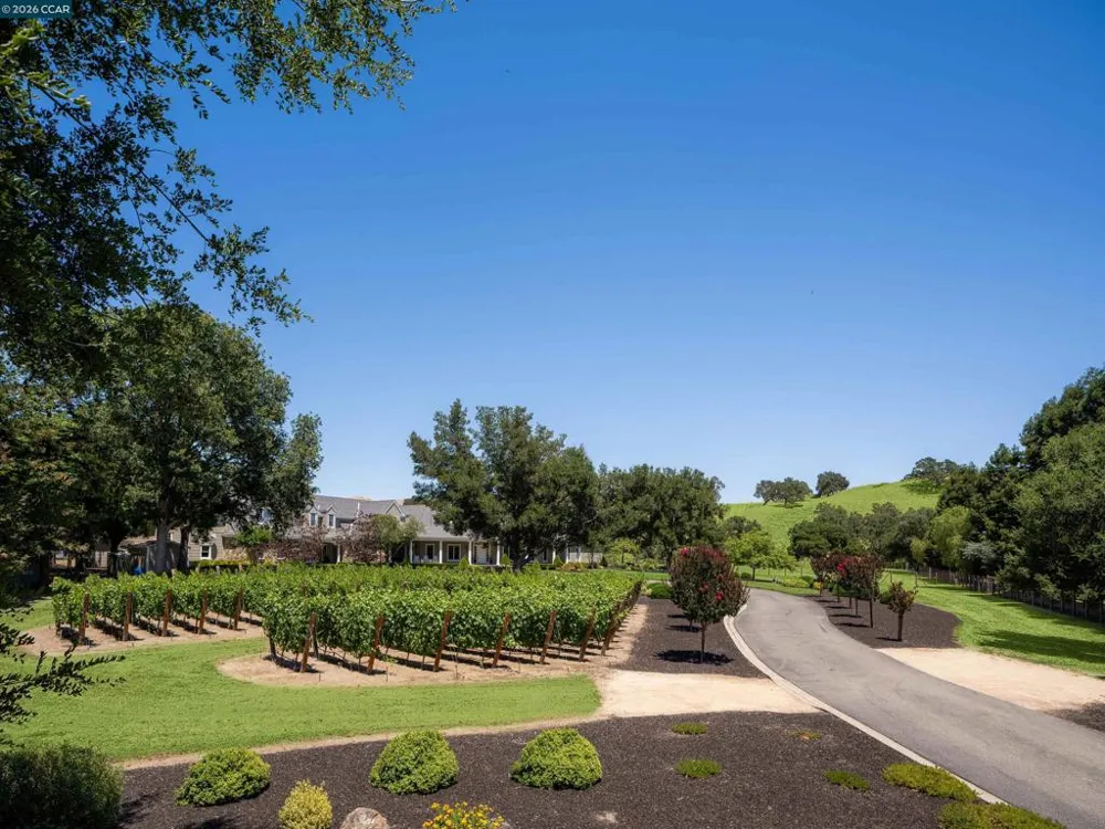 5401 Penny Ln Danville, CA 94506