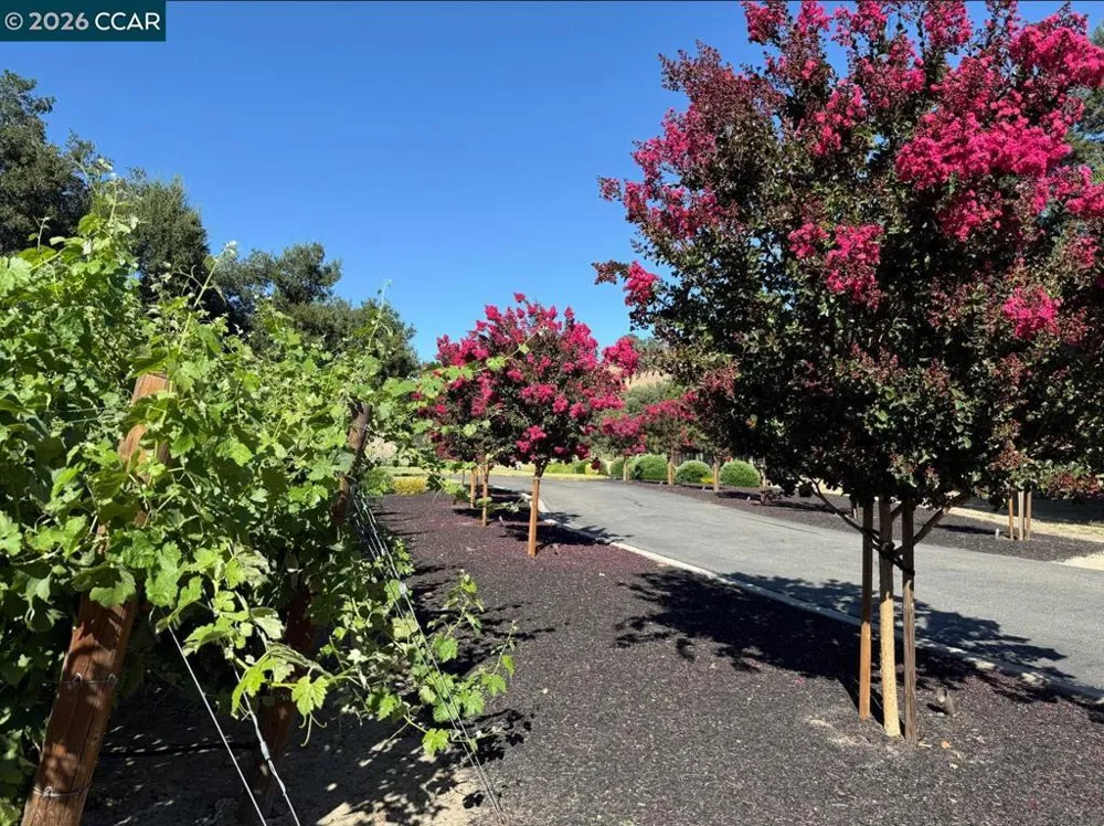 5401 Penny Ln Danville, CA 94506