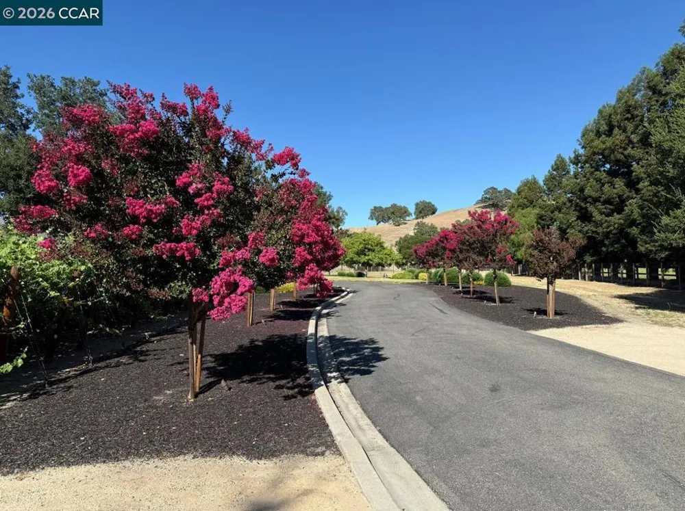5401 Penny Ln Danville, CA 94506