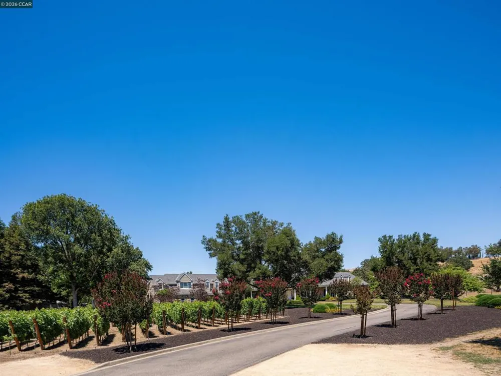 5401 Penny Ln Danville, CA 94506