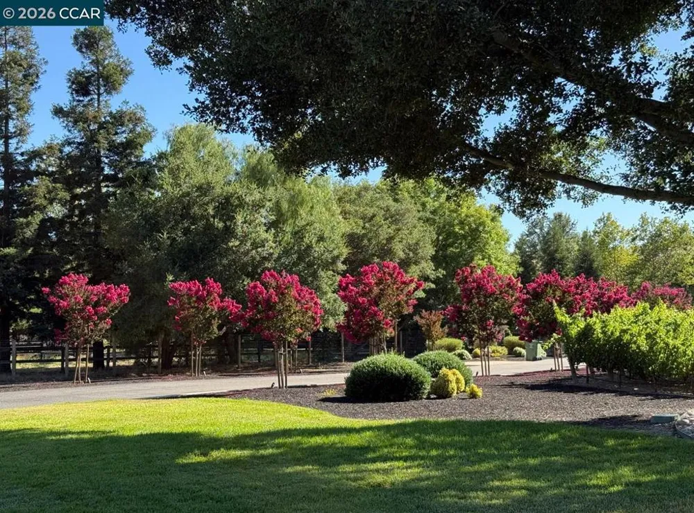 5401 Penny Ln Danville, CA 94506