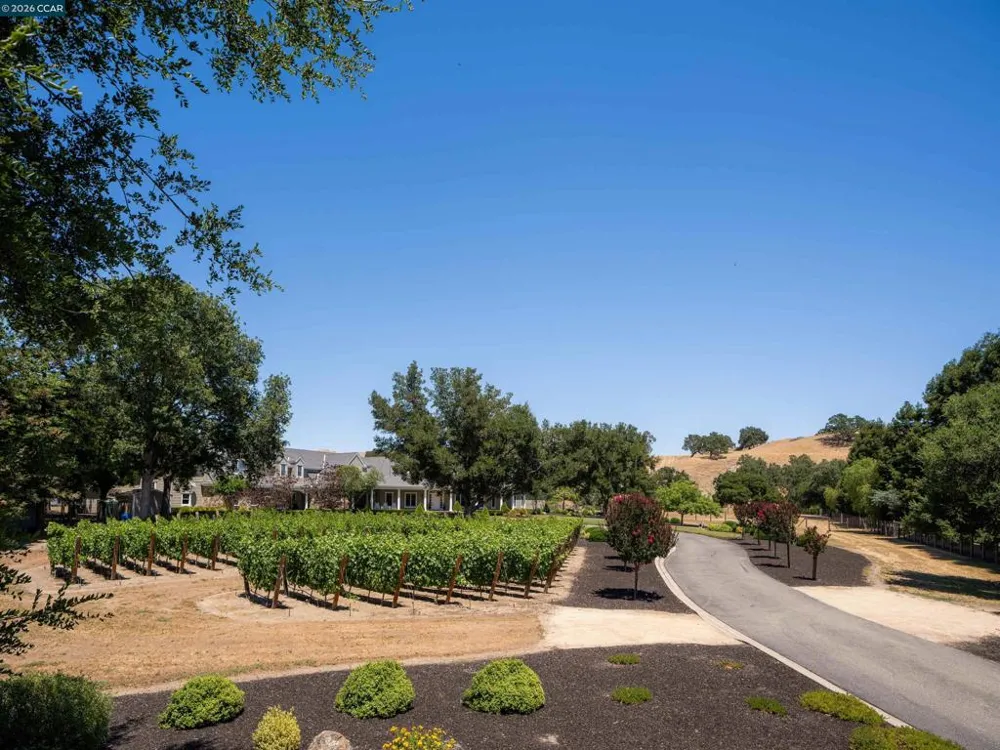 5401 Penny Ln Danville, CA 94506