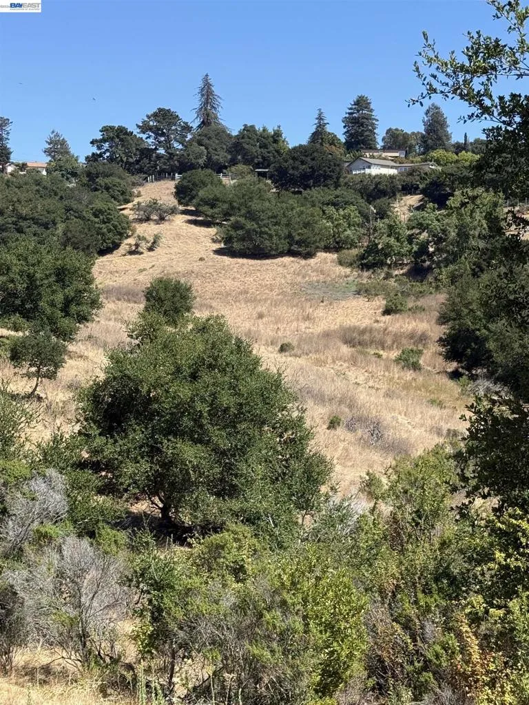 Clover Rd Hayward, CA 94542