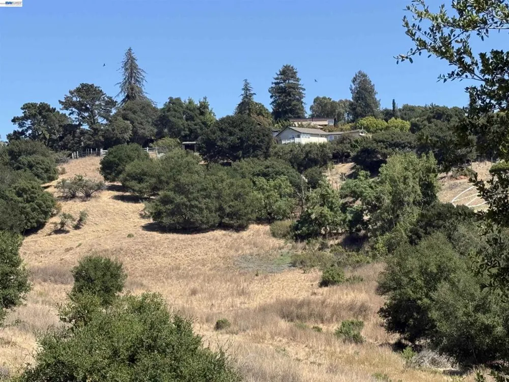 Clover Rd Hayward, CA 94542