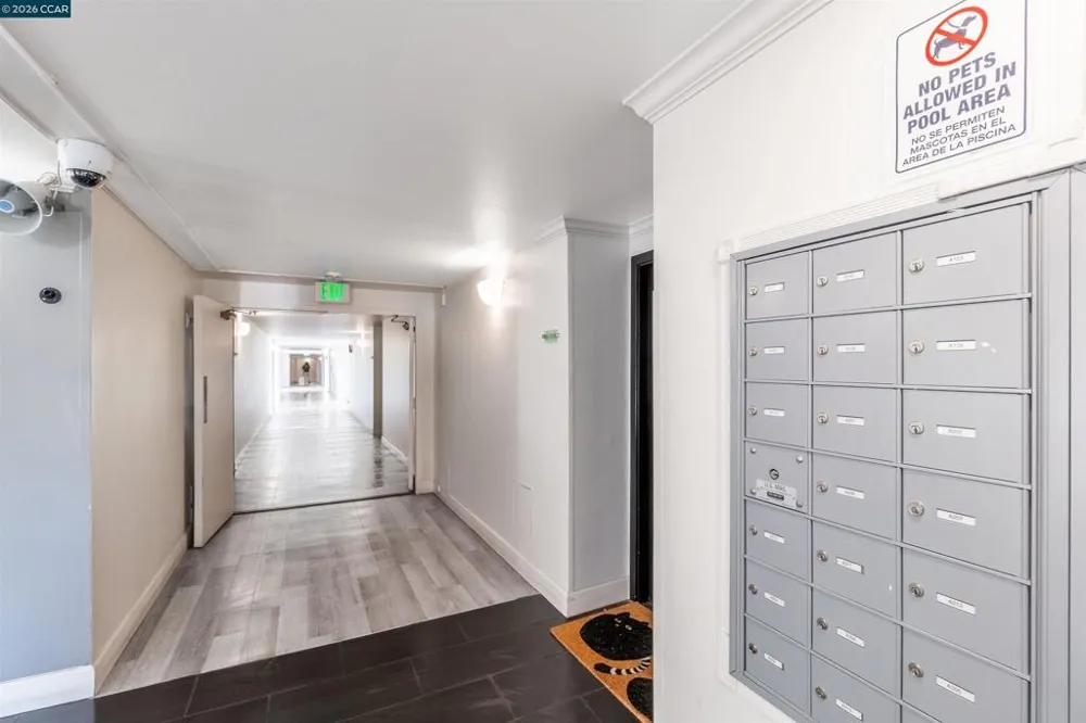 1315 A St Hayward, CA 94541