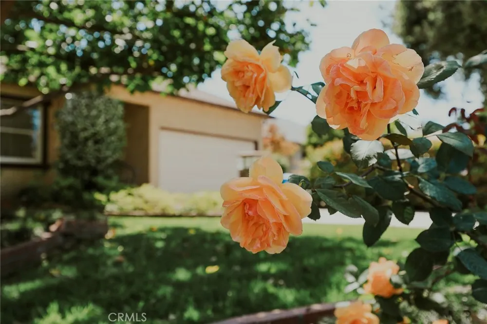 38 W Pamela Arcadia, CA 91007