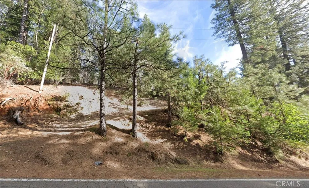 25465 E Meadow Drive Pioneer, CA 95666