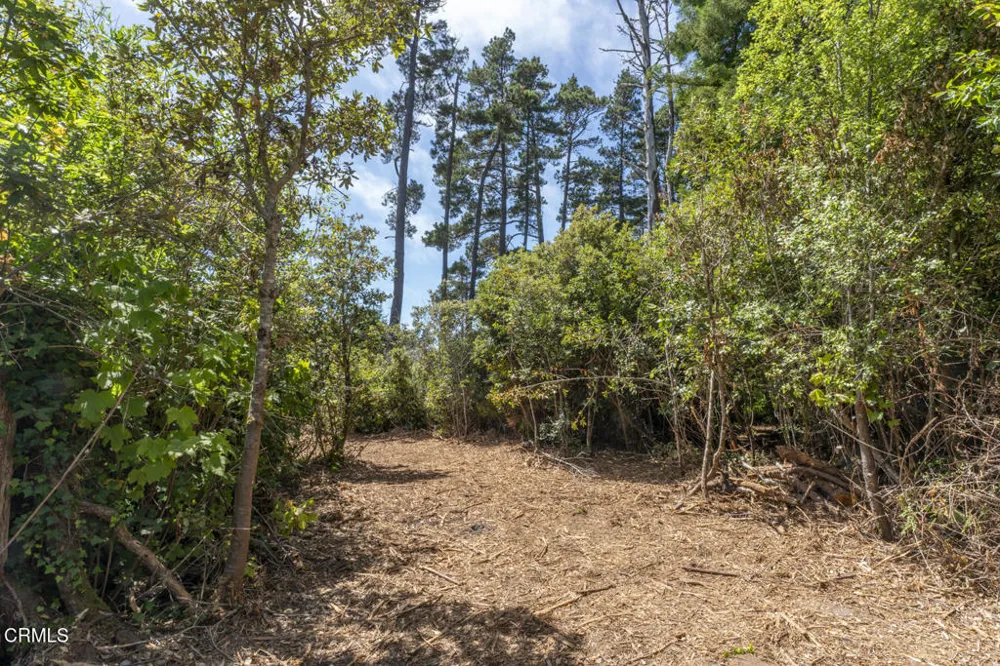 17898 Georges Lane Fort Bragg, CA 95437