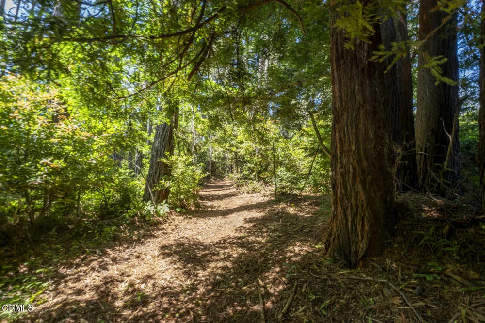 17898 Georges Lane Fort Bragg, CA 95437