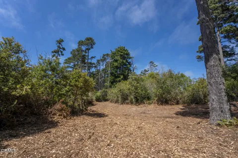 17898 Georges Lane