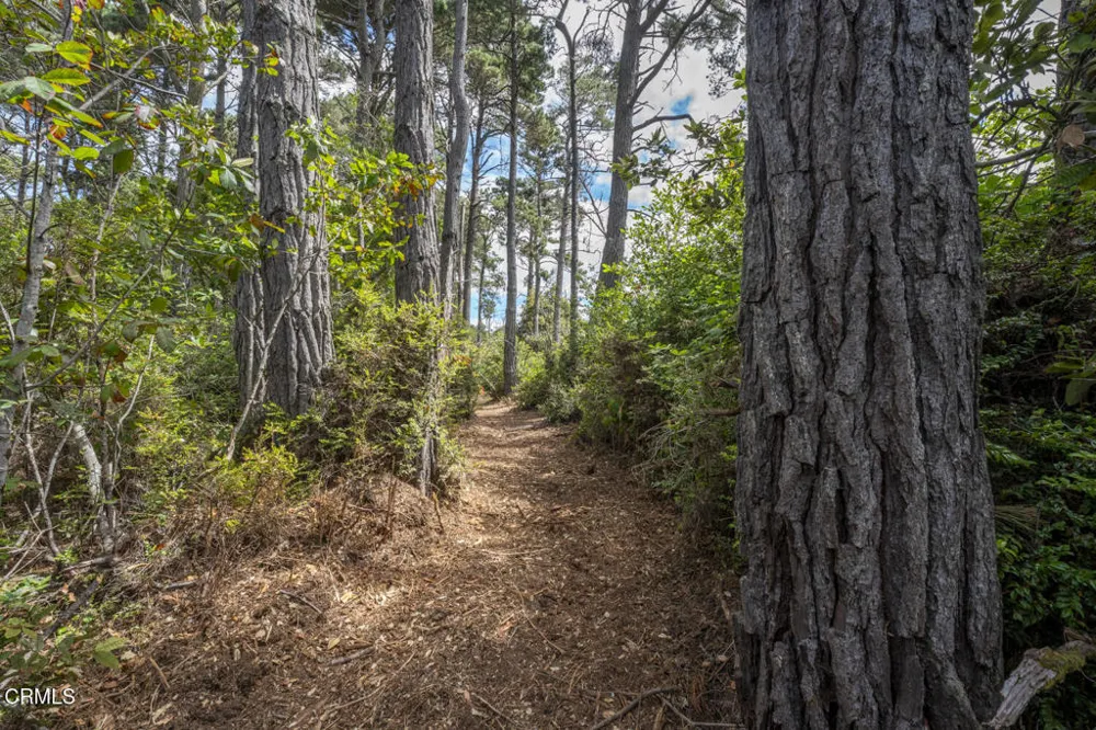 17898 Georges Lane Fort Bragg, CA 95437