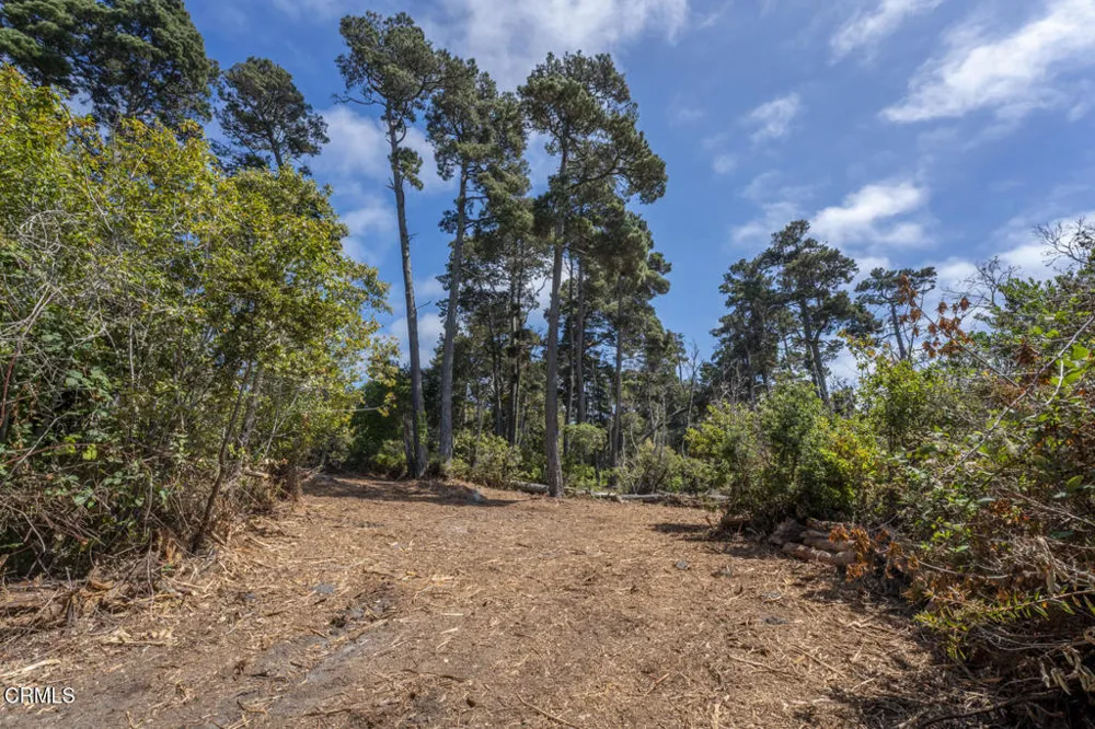 17898 Georges Lane Fort Bragg, CA 95437