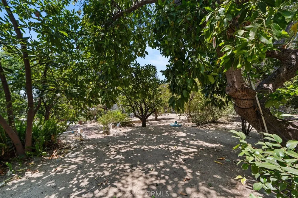 2449 Euclid Cres E Upland, CA 91784