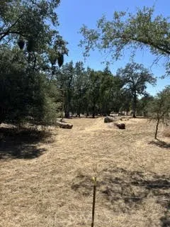 50294 Chuckwagon Squaw Valley, CA 93675