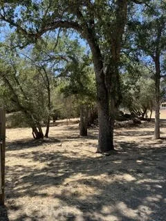 50294 Chuckwagon Squaw Valley, CA 93675