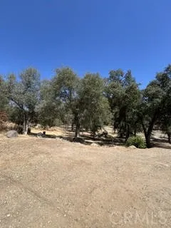 50294 Chuckwagon Squaw Valley, CA 93675