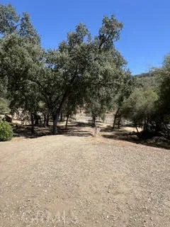 50294 Chuckwagon Squaw Valley, CA 93675