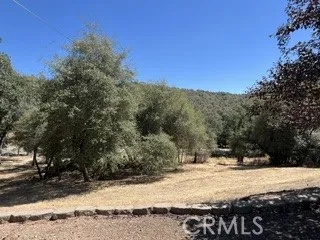 50294 Chuckwagon Squaw Valley, CA 93675