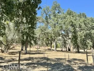 50294 Chuckwagon Squaw Valley, CA 93675