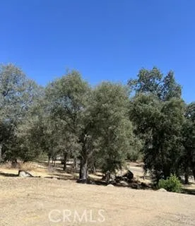 50294 Chuckwagon Squaw Valley, CA 93675