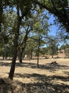 50294 Chuckwagon Squaw Valley, CA 93675