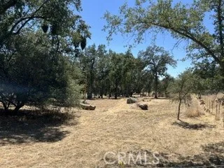 50294 Chuckwagon Squaw Valley, CA 93675