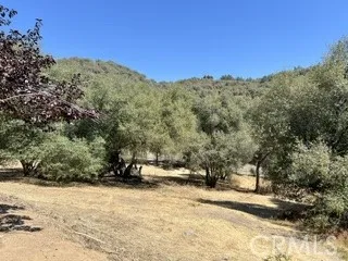 50294 Chuckwagon Squaw Valley, CA 93675
