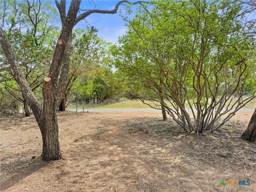 296 Seneca Drive Burnet, TX 78611