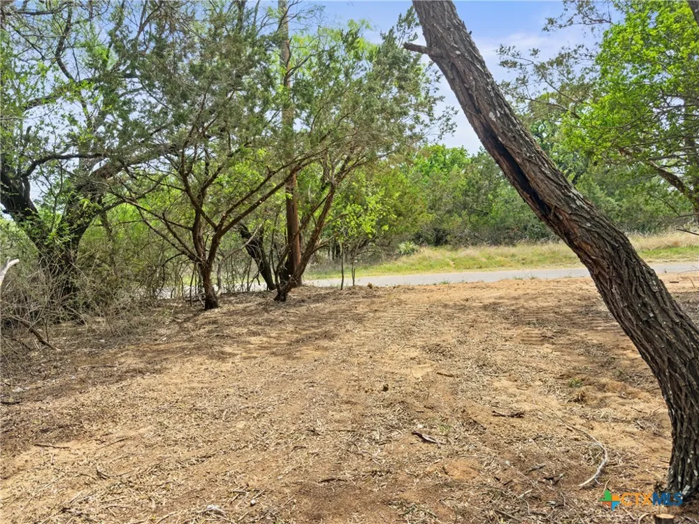 296 Seneca Drive Burnet, TX 78611