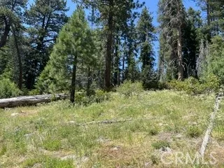 Hlk135-Cabin @ Heart Meadow Other, CA 93262