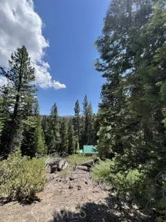 Hlk135-Cabin @ Heart Meadow Other, CA 93262